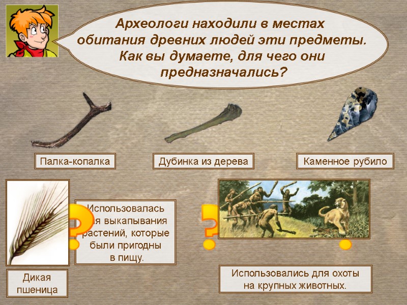 Дубинка из дерева Каменное рубило Использовались для охоты  на крупных животных. Использовалась для